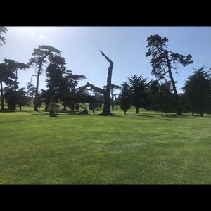 Meet your Posher, Antonio